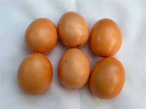 what are fake chicken eggs used for